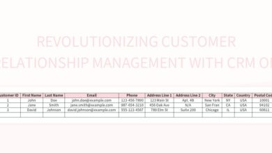 Cloud CRM System: Revolutionizing Customer Relationship Management